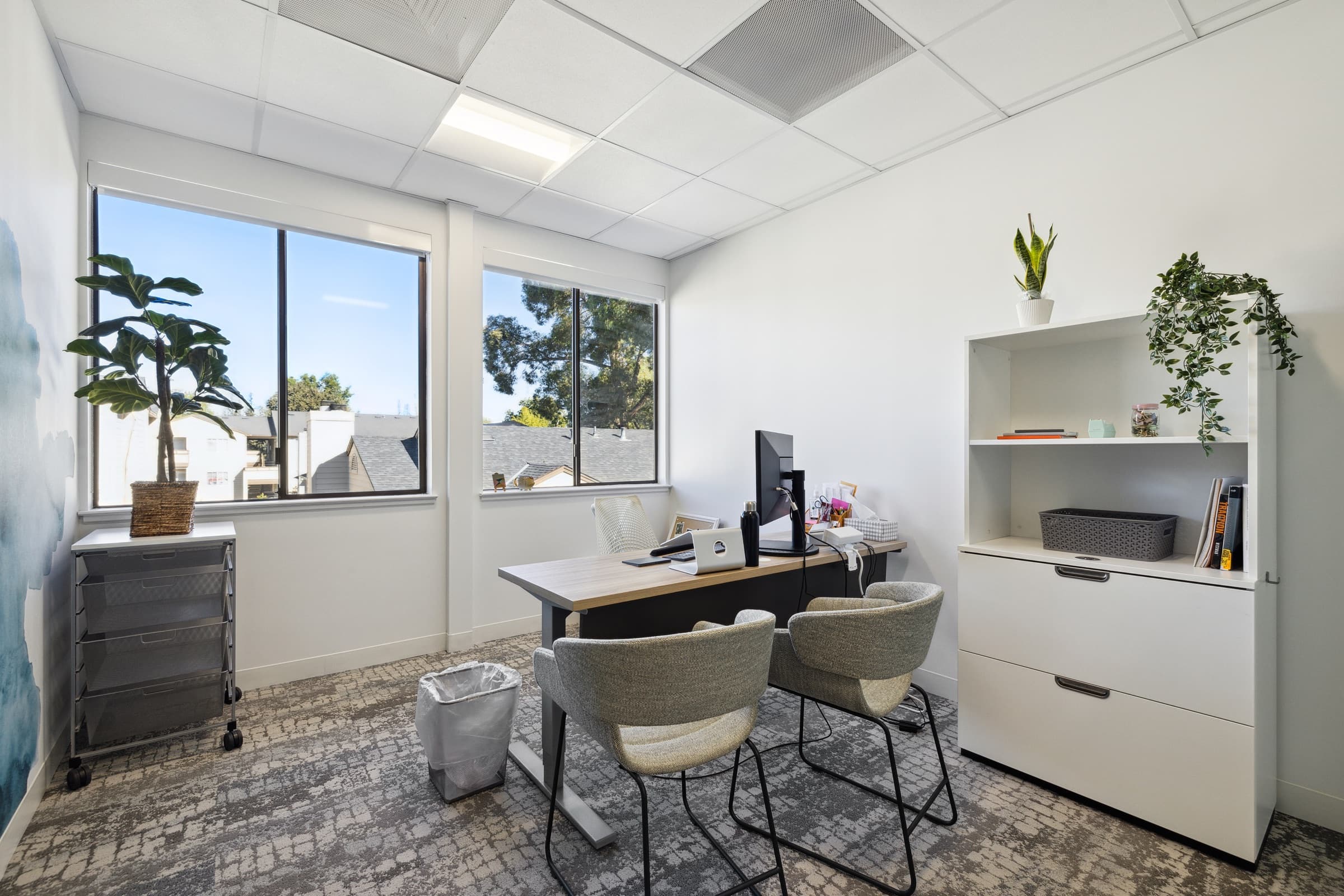 Private office with windows, desk, and storage